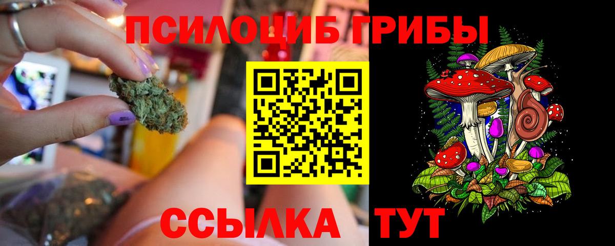 Галлюциногенные грибы мицелий Коряжма