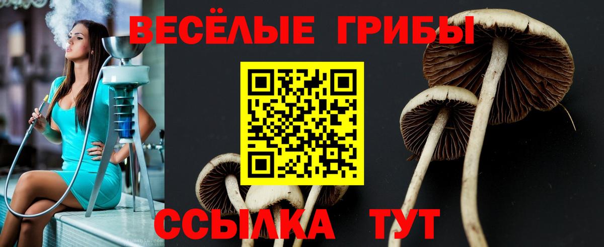 купить закладку  Вход с VPN  Коряжма  Галлюциногенные грибы ЛСД 